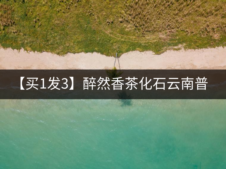 【買(mǎi)1發(fā)3】醉然香茶化石云南普洱茶碎銀子古樹(shù)茶糯米香茶葉共375g