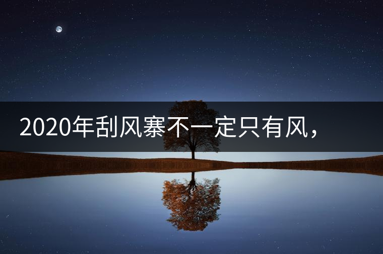 2020年刮風(fēng)寨不一定只有風(fēng)，但因茶而聲“鳴”天下-易武中聘號