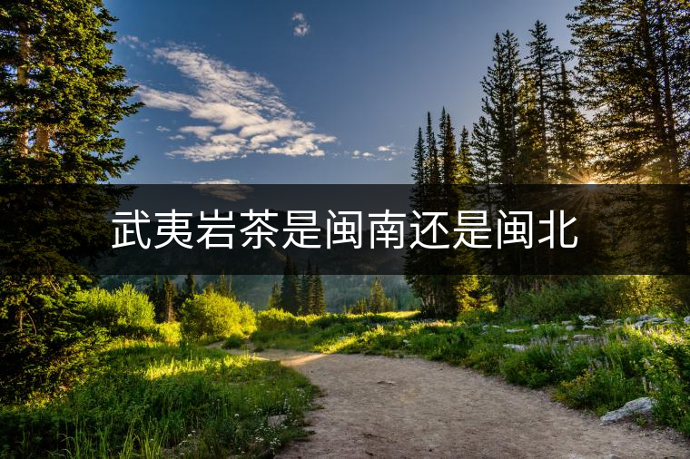武夷巖茶是閩南還是閩北