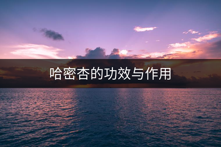 哈密杏的功效與作用