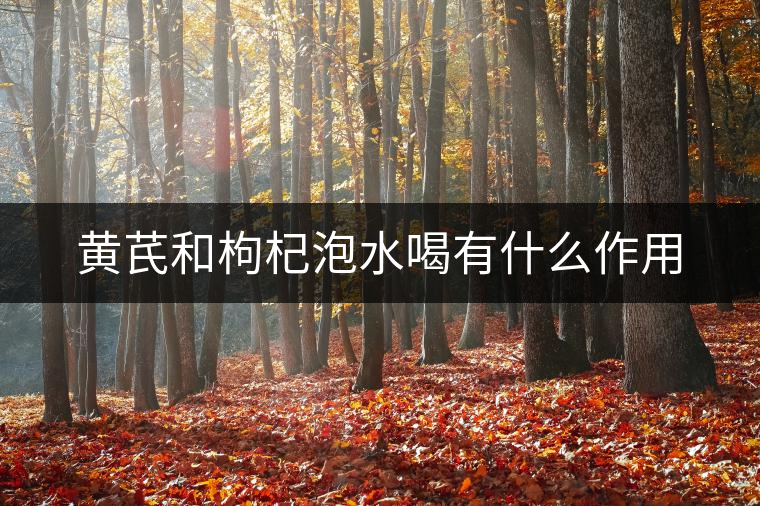 黃芪和枸杞泡水喝有什么作用 黃芪和枸杞泡水喝有什么作用