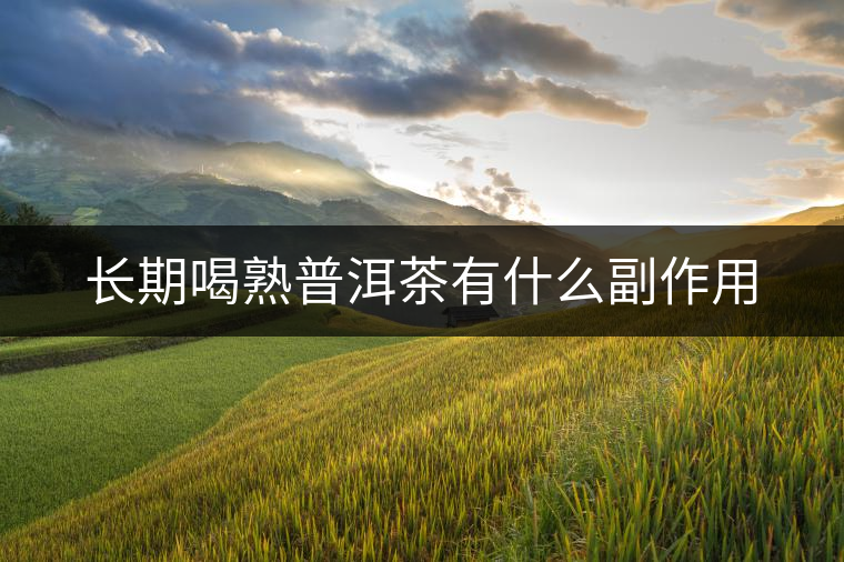 長(zhǎng)期喝熟普洱茶有什么副作用 長(zhǎng)期喝熟普洱茶有什么副作用