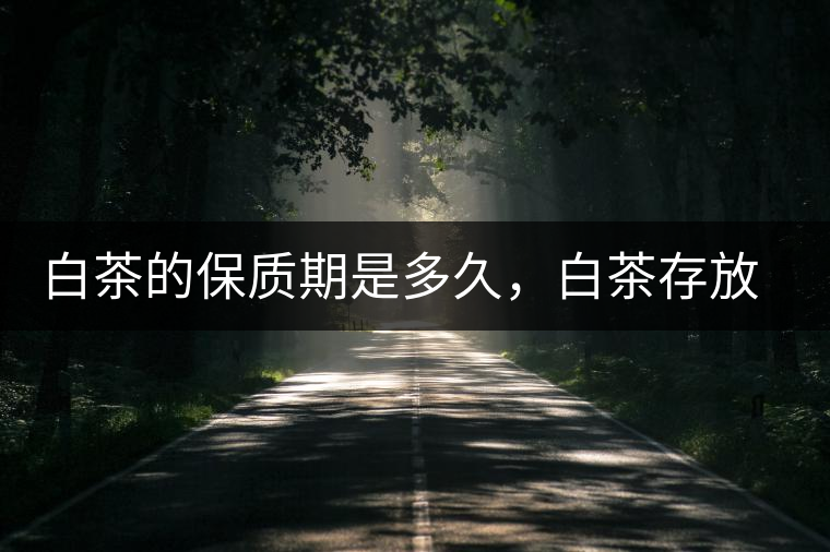 白茶的保質(zhì)期是多久，白茶存放多長時間好喝