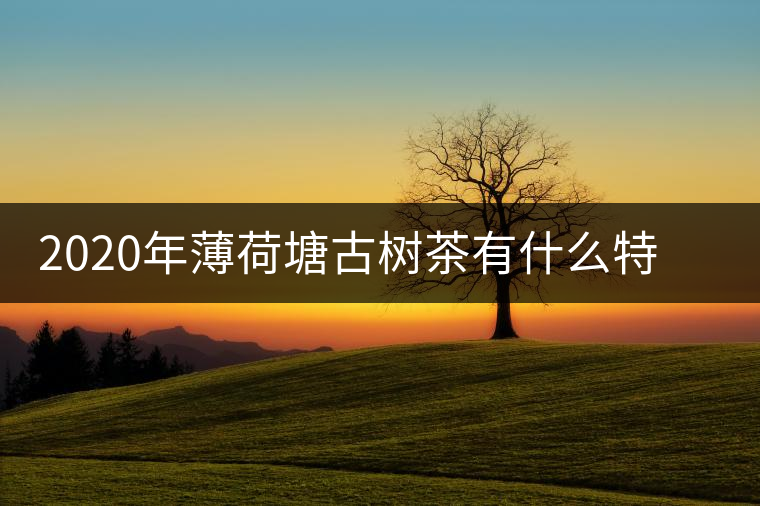 2020年薄荷塘古樹茶有什么特征？薄荷塘的價格及產(chǎn)量如何？-易武中聘號