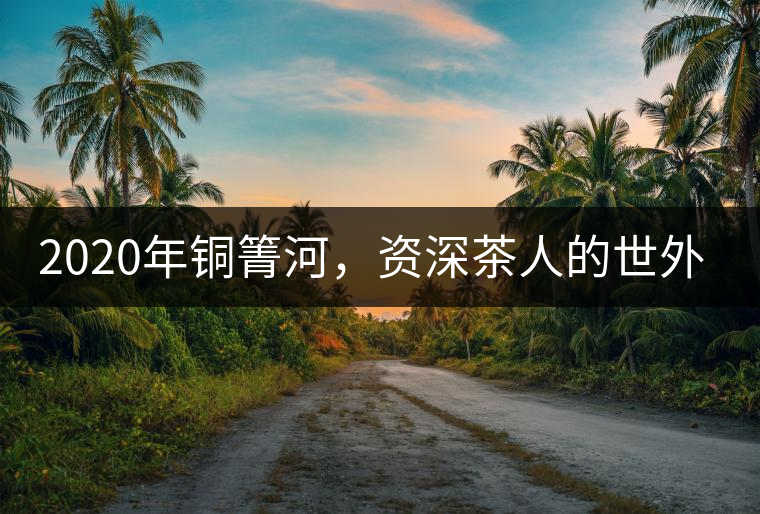 2020年銅箐河，資深茶人的世外桃源-易武-易武中聘號