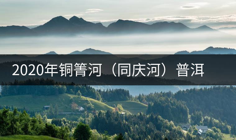 2020年銅箐河（同慶河）普洱茶，野味真難尋！-易武中聘號(hào)
