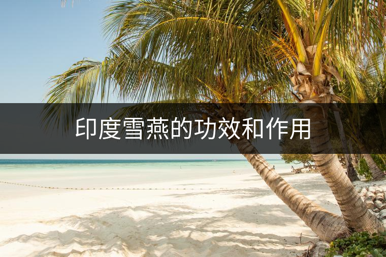 印度雪燕的功效和作用