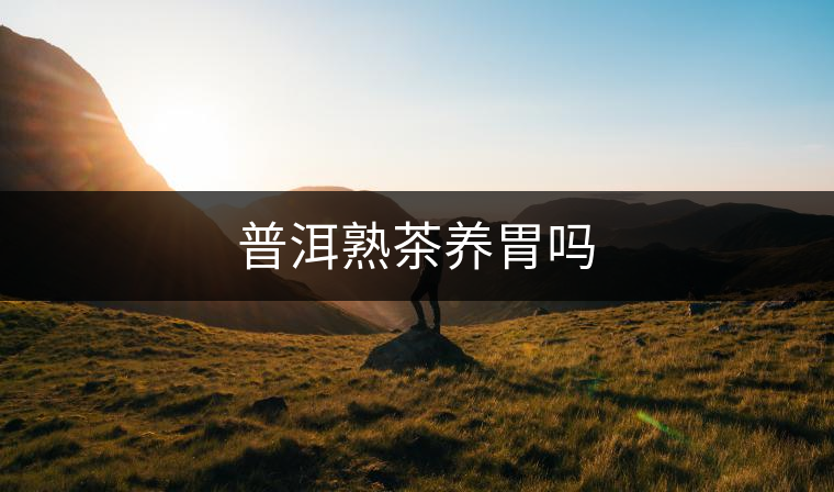 普洱熟茶養(yǎng)胃嗎