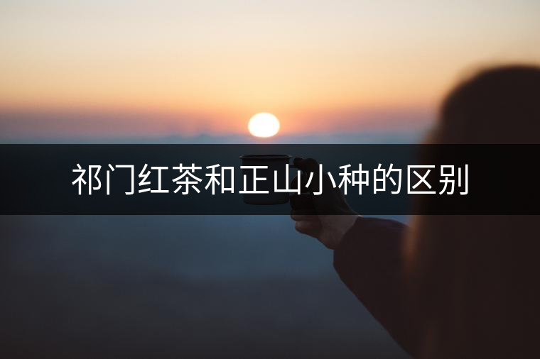 祁門紅茶和正山小種的區(qū)別