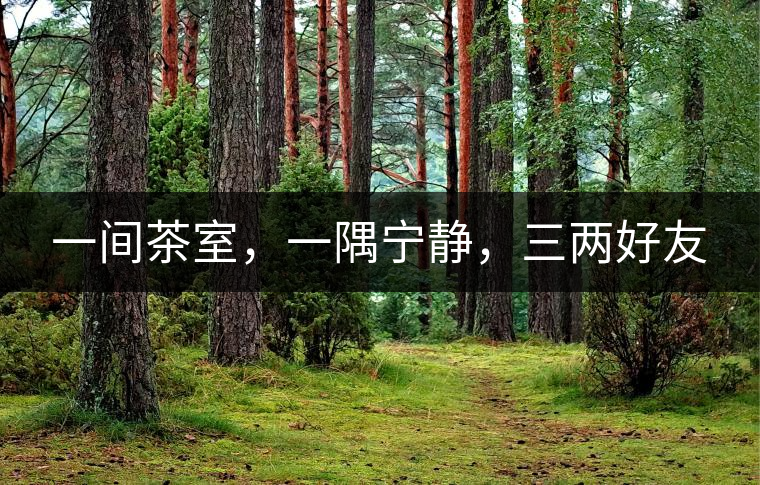 一間茶室，一隅寧靜，三兩好友