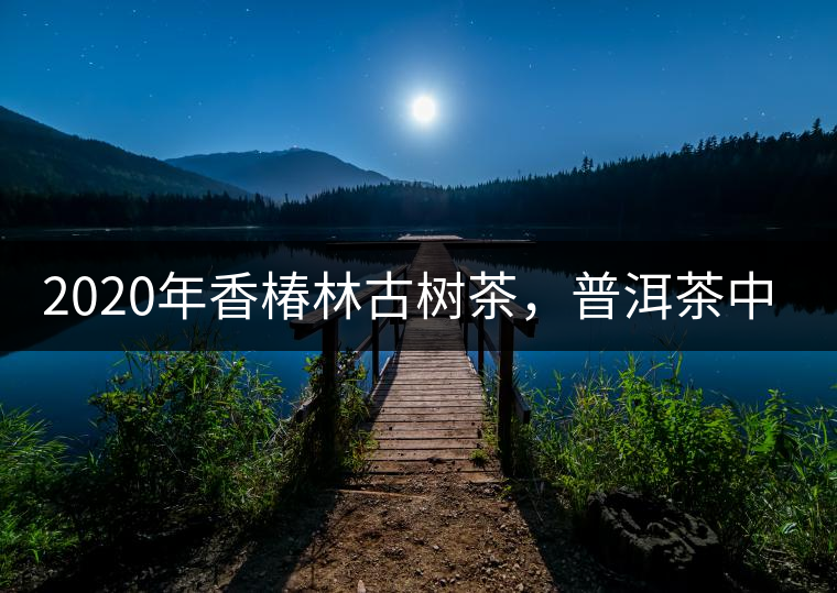 2020年香椿林古樹茶，普洱茶中的油膩大叔-易武中聘號