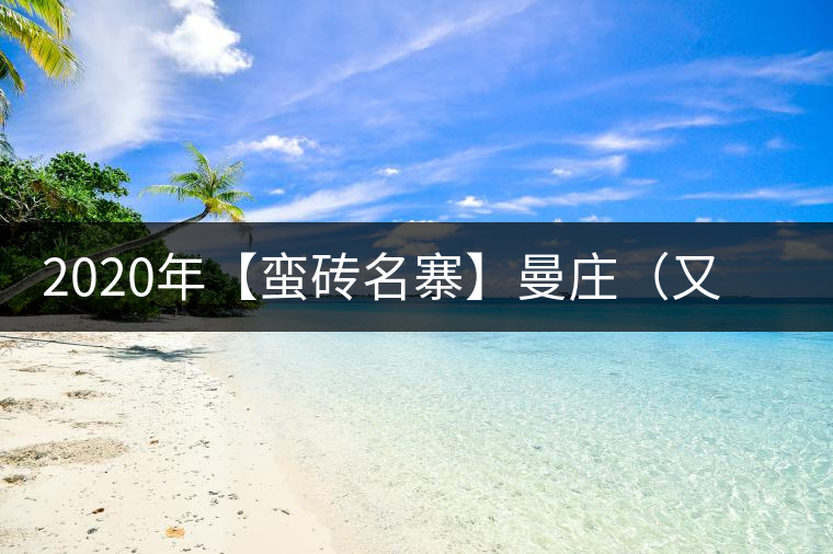 2020年【蠻磚名寨】曼莊（又作：蠻磚、曼磚）-易武中聘號