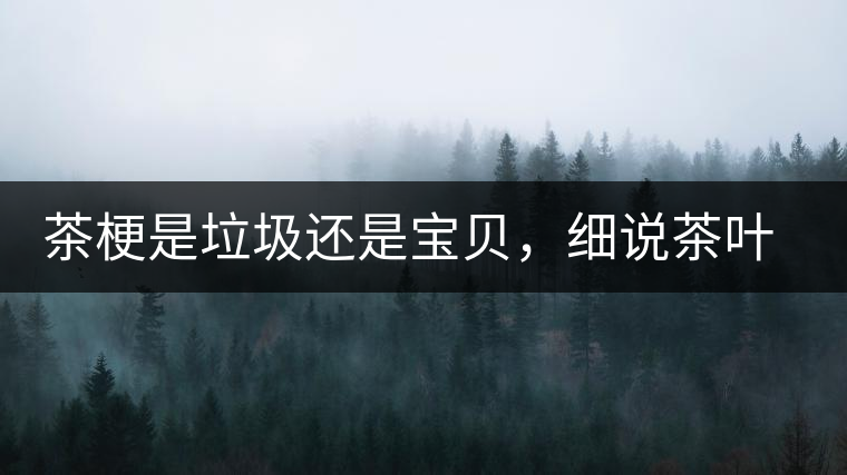 茶梗是垃圾還是寶貝，細(xì)說茶葉的那些梗