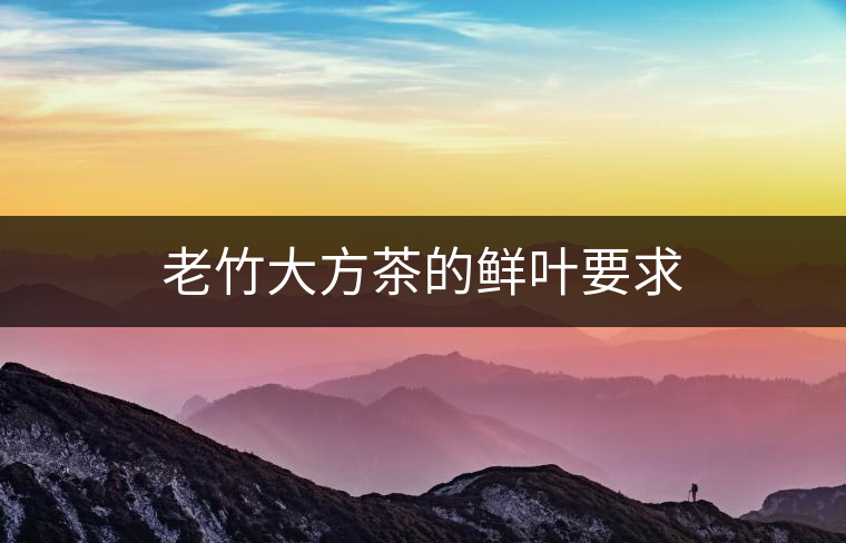 老竹大方茶的鮮葉要求
