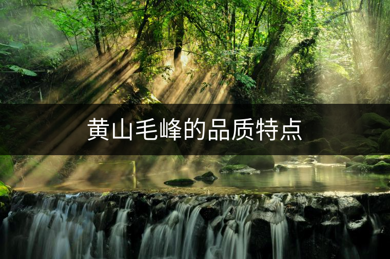 黃山毛峰的品質(zhì)特點(diǎn)