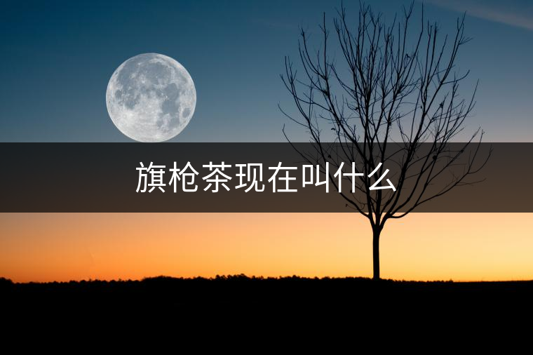 旗槍茶現(xiàn)在叫什么