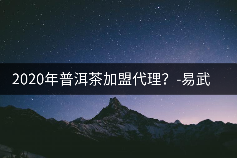 2020年普洱茶加盟代理？-易武中聘號