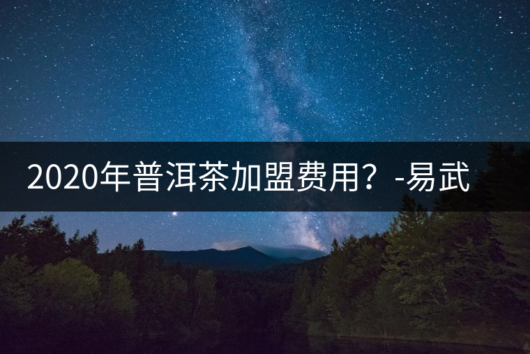 2020年普洱茶加盟費用？-易武中聘號