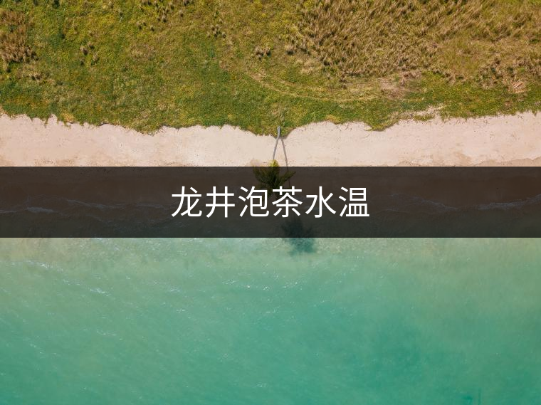 龍井泡茶水溫