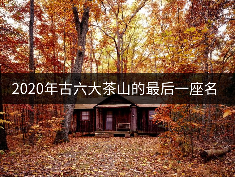 2020年古六大茶山的最后一座名山——攸樂山。-易武中聘號