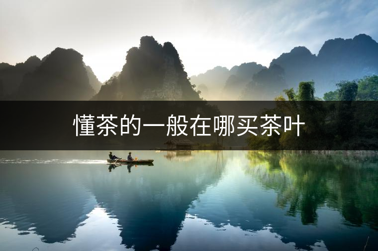 懂茶的一般在哪買茶葉