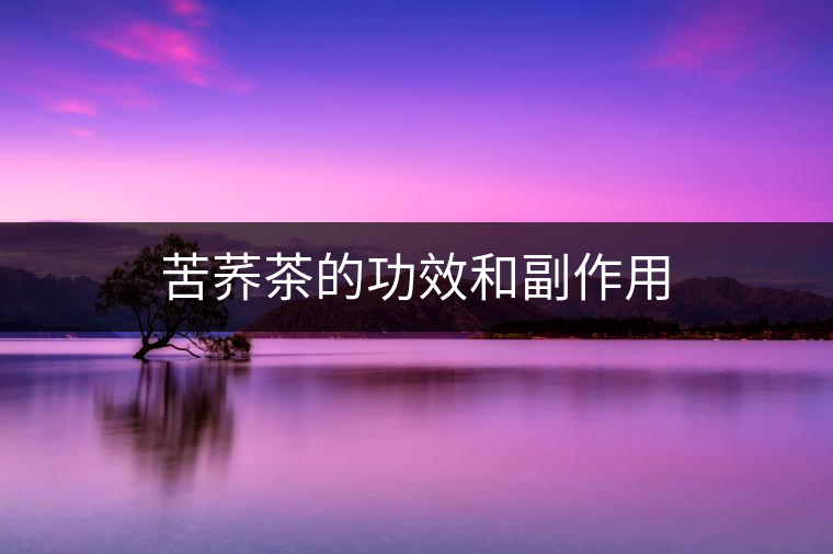 苦蕎茶的功效和副作用