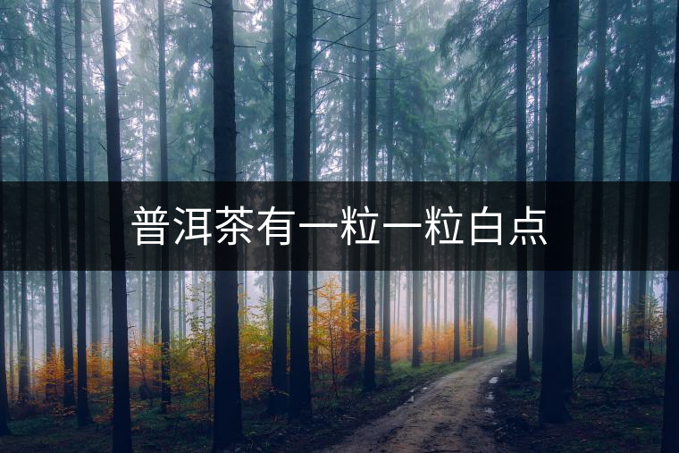 普洱茶有一粒一粒白點 普洱茶有一粒一粒白點