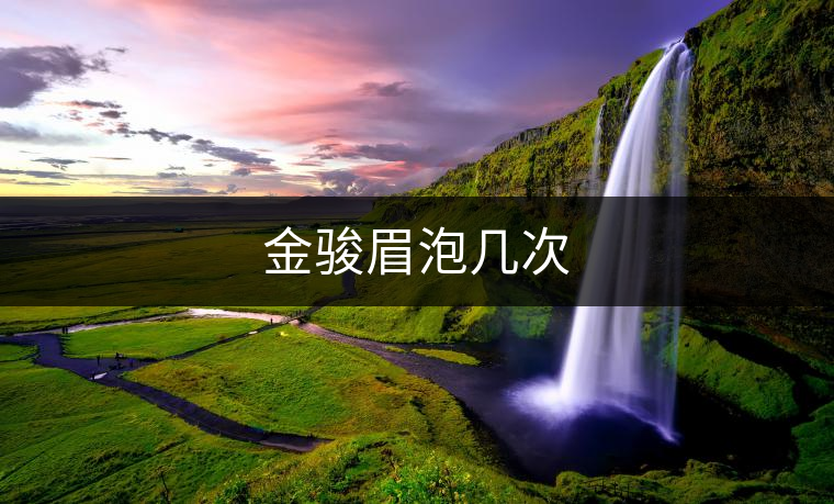 金駿眉泡幾次