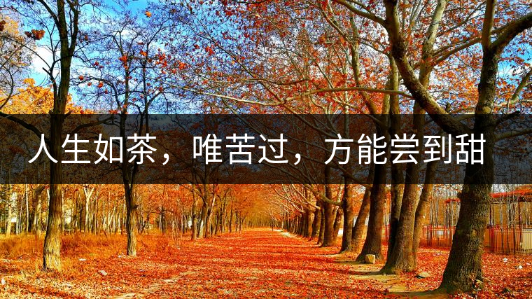 人生如茶，唯苦過，方能嘗到甜滋味