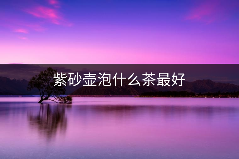 紫砂壺泡什么茶最好