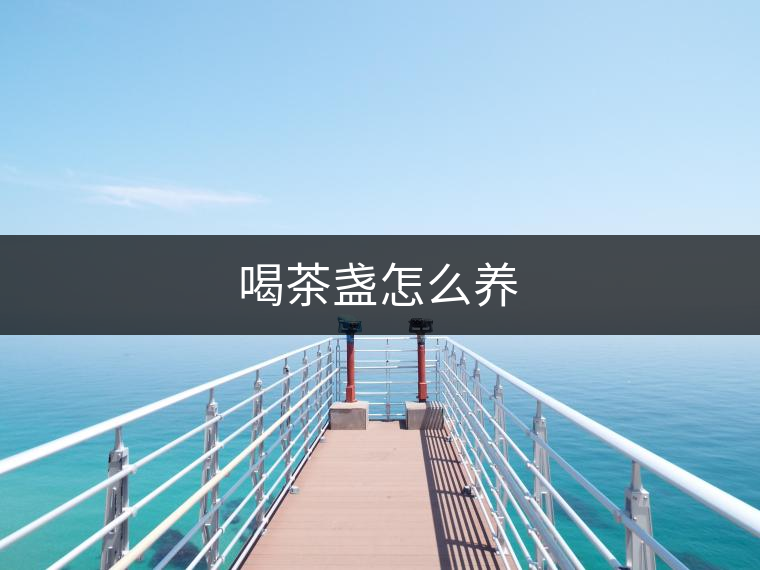 喝茶盞怎么養(yǎng) 喝茶盞怎么養(yǎng)
