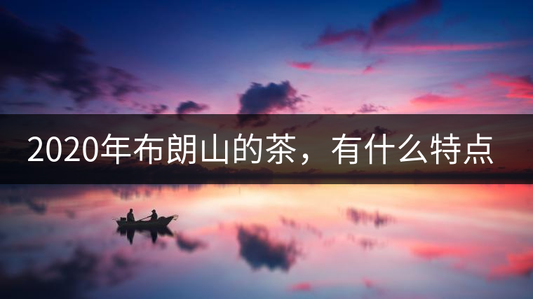 2020年布朗山的茶，有什么特點？-易武中聘號