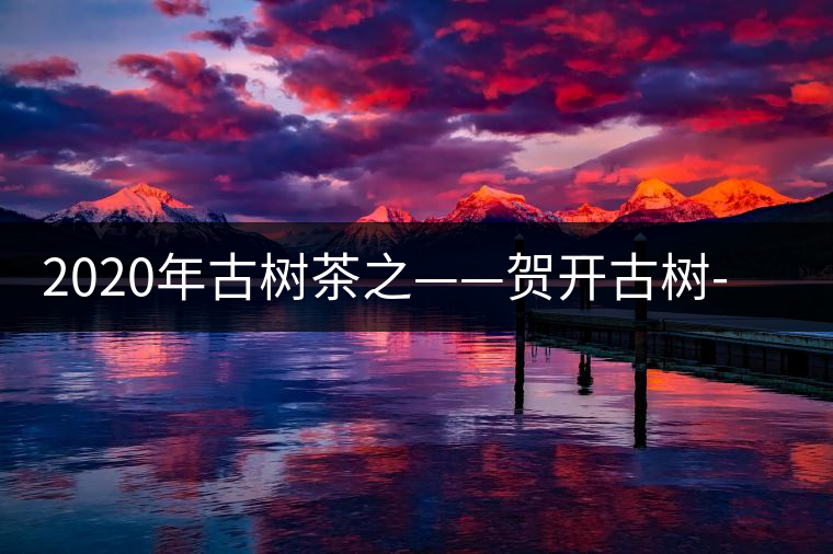 2020年古樹茶之——賀開古樹-易武中聘號