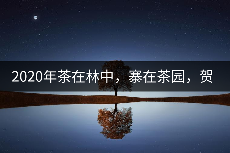 2020年茶在林中，寨在茶園，賀開古樹茶-易武中聘號