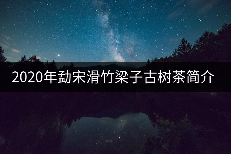 2020年勐宋滑竹梁子古樹(shù)茶簡(jiǎn)介-易武中聘號(hào) 2020年勐宋滑竹梁子古樹(shù)茶簡(jiǎn)介-易武中聘號(hào)