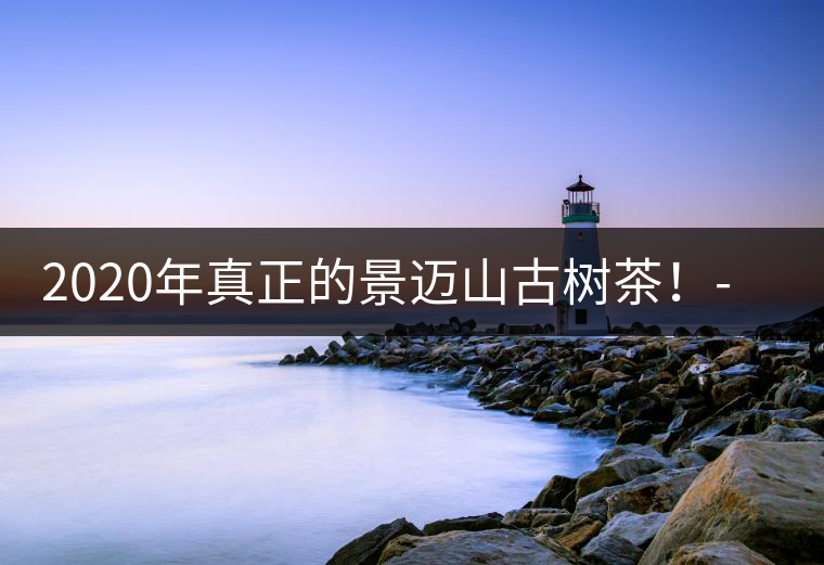 2020年真正的景邁山古樹茶！-易武中聘號