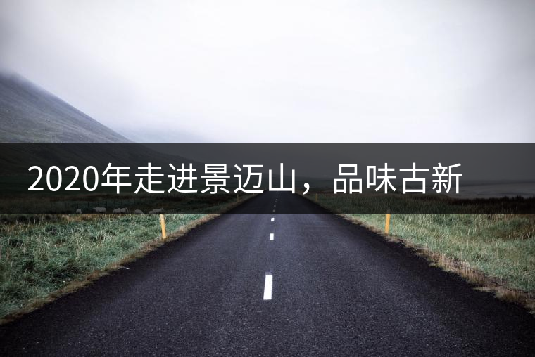 2020年走進(jìn)景邁山，品味古新六大茶山古樹茶之韻-易武中聘號(hào)