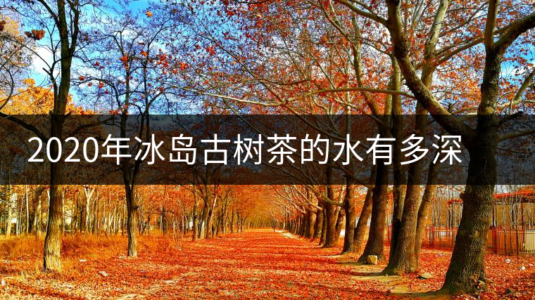 2020年冰島古樹茶的水有多深？別被蒙在鼓里啦-易武中聘號
