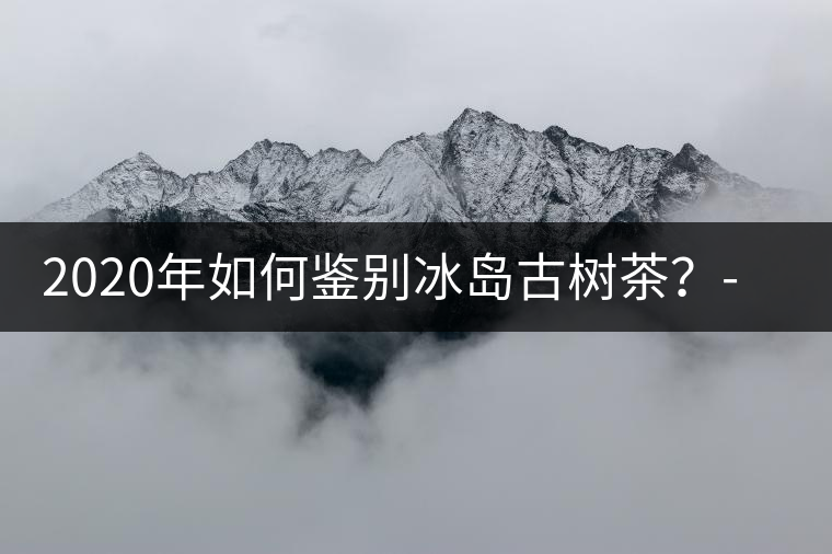 2020年如何鑒別冰島古樹茶？-易武中聘號(hào)