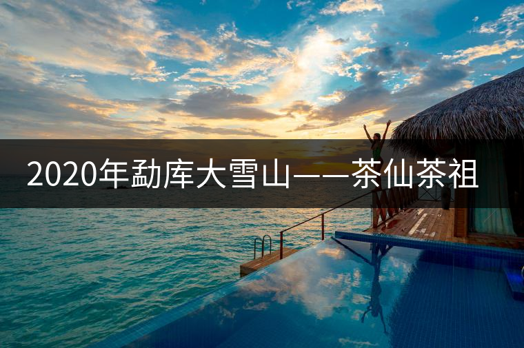 2020年勐庫(kù)大雪山——茶仙茶祖居住的地方-易武中聘號(hào) 2020年勐庫(kù)大雪山——茶仙茶祖居住的地方-易武中聘號(hào)