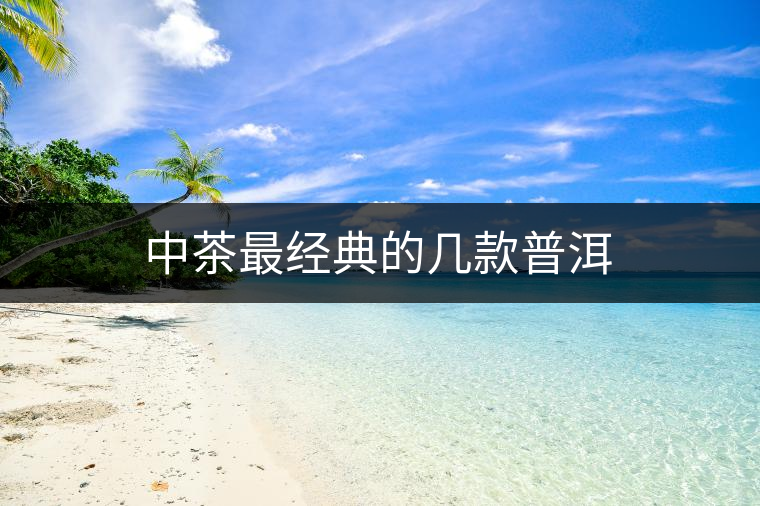 中茶最經(jīng)典的幾款普洱