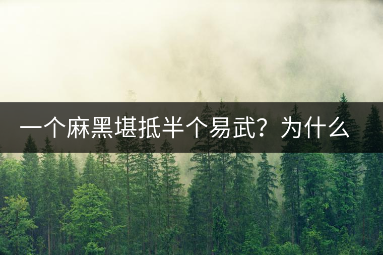 一個麻黑堪抵半個易武？為什么這么好喝？
