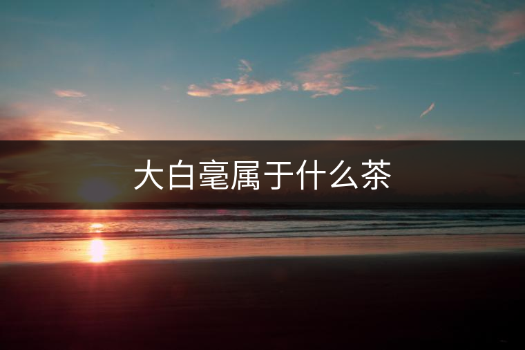 大白毫屬于什么茶