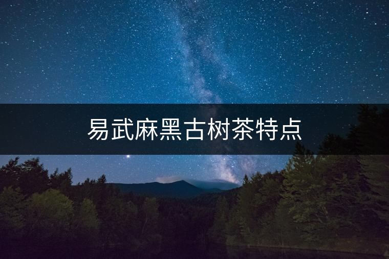易武麻黑古樹茶特點 易武麻黑古樹茶特點