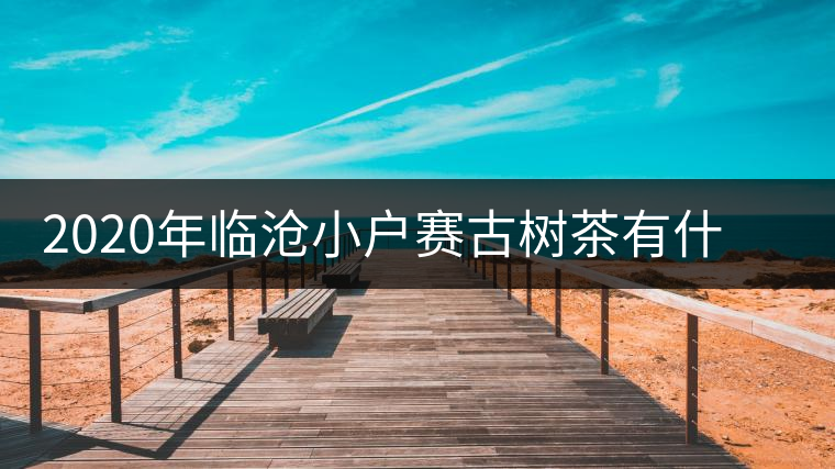 2020年臨滄小戶賽古樹茶有什么特點？因何被稱為“賽冰島”？-易武中聘號