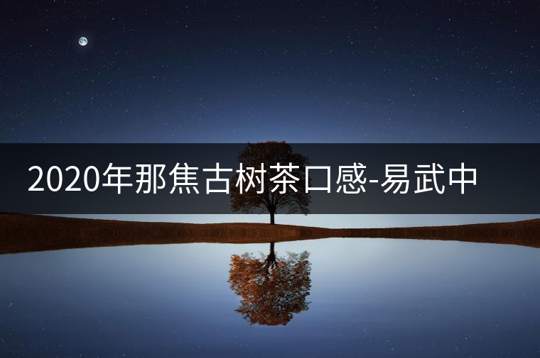 2020年那焦古樹(shù)茶口感-易武中聘號(hào) 2020年那焦古樹(shù)茶口感-易武中聘號(hào)