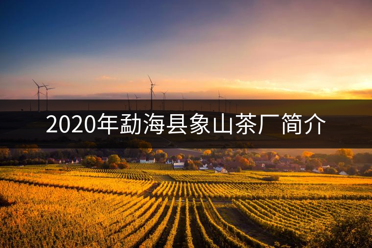 2020年勐?？h象山茶廠簡介