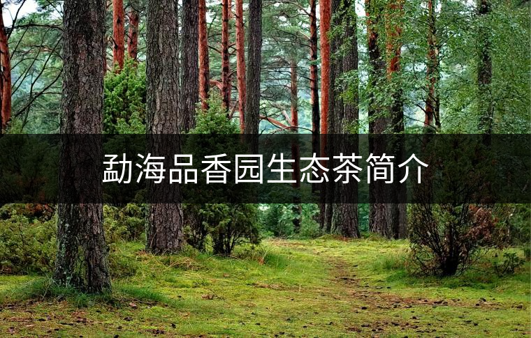 勐海品香園生態(tài)茶簡介 勐海品香園生態(tài)茶簡介