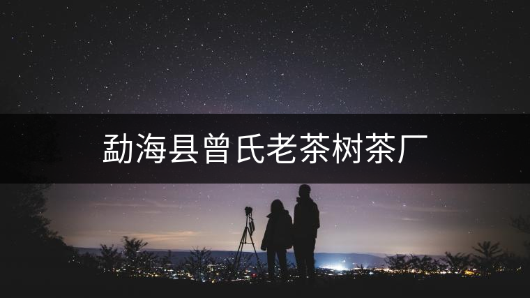 勐?？h曾氏老茶樹(shù)茶廠