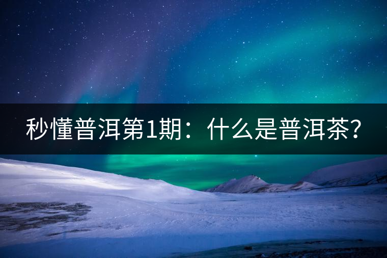 秒懂普洱第1期：什么是普洱茶？